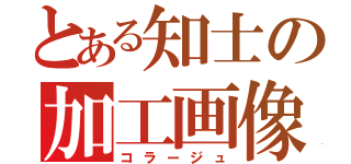 とある知士の加工画像（コラージュ）