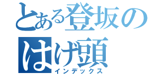 とある登坂のはげ頭（インデックス）