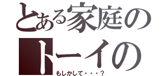 とある家庭のトーイの性癖（もしかして・・・？）