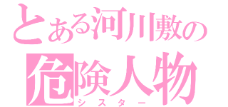 とある河川敷の危険人物（シスター）