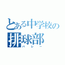 とある中学校の排球部（バレー）