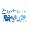 とあるサレナの監禁地獄（もう嫌だ・・・）