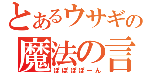 とあるウサギの魔法の言葉（ぽぽぽぽーん）