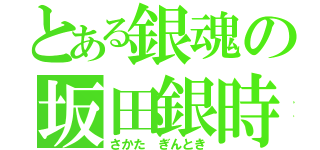 とある銀魂の坂田銀時（さかた ぎんとき）