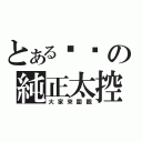 とある趴趴の純正太控（大家來圍觀）