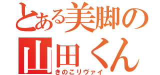 とある美脚の山田くん（きのこリヴァイ）