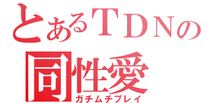 とあるＴＤＮの同性愛（ガチムチプレイ）