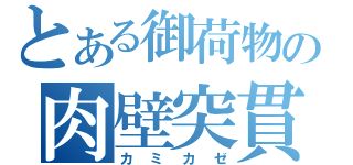 とある御荷物の肉壁突貫（カミカゼ）