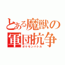 とある魔獣の軍団抗争（ポケモンバトル）