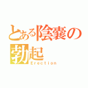 とある陰嚢の勃起（Ｅｒｅｃｔｉｏｎ）