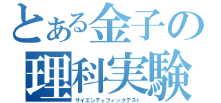 とある金子の理科実験（サイエンティフィックテスト）