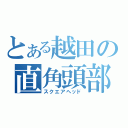 とある越田の直角頭部（スクエアヘッド）