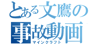 とある文鷹の事故動画（マインクラフト）