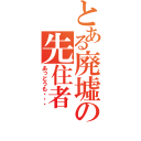 とある廃墟の先住者（あっどうも・・・）