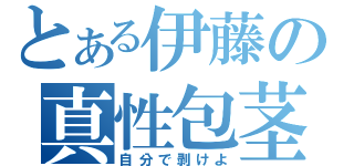 とある伊藤の真性包茎（自分で剥けよ）