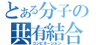 とある分子の共有結合（コンビネーション）