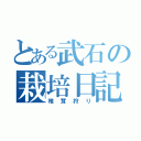 とある武石の栽培日記（椎茸狩り）