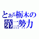 とある栃木の第二勢力（ＵＶＡ ＦＣ）