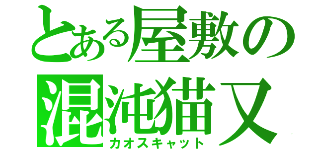 とある屋敷の混沌猫又（カオスキャット）