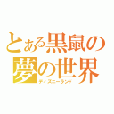 とある黒鼠の夢の世界（ディズニーランド）