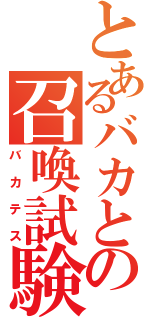 とあるバカとの召喚試験（バカテス）