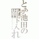 とある池田の靴下入れ（インソックス）