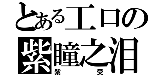 とある工口の紫瞳之泪（紫受）