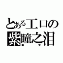 とある工口の紫瞳之泪（紫受）