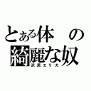 とある体の綺麗な奴（沢尻エリカ）