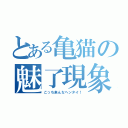 とある亀猫の魅了現象（こっち来んなヘンタイ！）