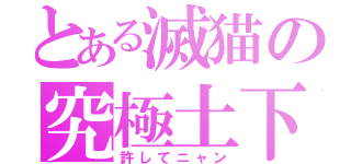 とある滅猫の究極土下座（許してニャン）