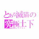 とある滅猫の究極土下座（許してニャン）