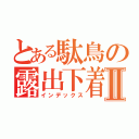 とある駄鳥の露出下着Ⅱ（インデックス）