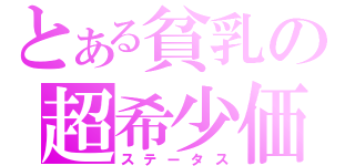 とある貧乳の超希少価値（ステータス）