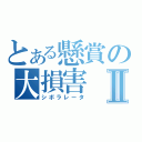 とある懸賞の大損害Ⅱ（シボラレータ）