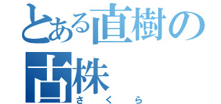 とある直樹の古株（さくら）