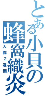 とある小貝の蜂窩織炎（入院２週間）