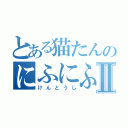 とある猫たんのにふにふⅡ（けんとうし）