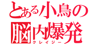 とある小鳥の脳内爆発（クレイジー）