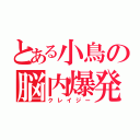 とある小鳥の脳内爆発（クレイジー）