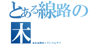 とある線路の木（あれは枕木っていうんやで）