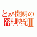 とある開明の谷村映紀Ⅱ（パッパラパー）