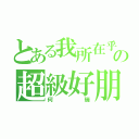 とある我所在乎の超級好朋友（何瑞）