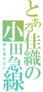 とある佳織の小田急線（何も見えない）