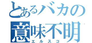 とあるバカの意味不明（エルスコ）