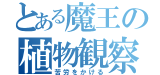 とある魔王の植物観察（苦労をかける）