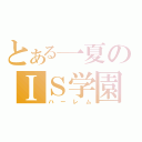 とある一夏のＩＳ学園（ハーレム）