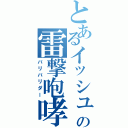 とあるイッシュの雷撃咆哮（バリバリダー）