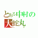 とある中村の大蛇丸（へび）