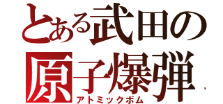 とある武田の原子爆弾（アトミックボム）